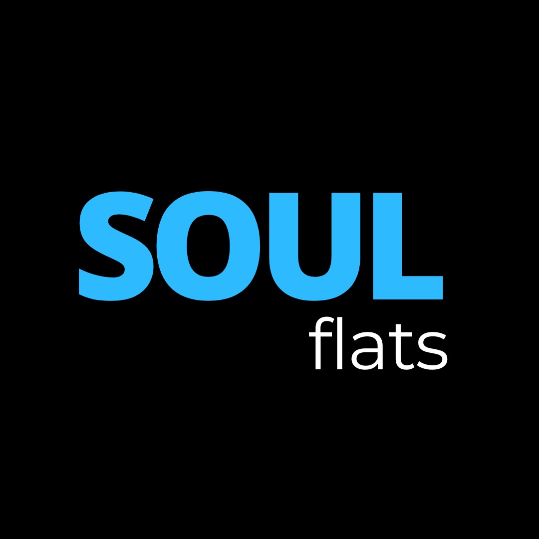 Soul logo